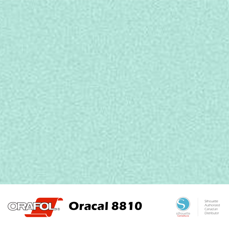Oracal 8810 Frosted Glass Cast - 09"
