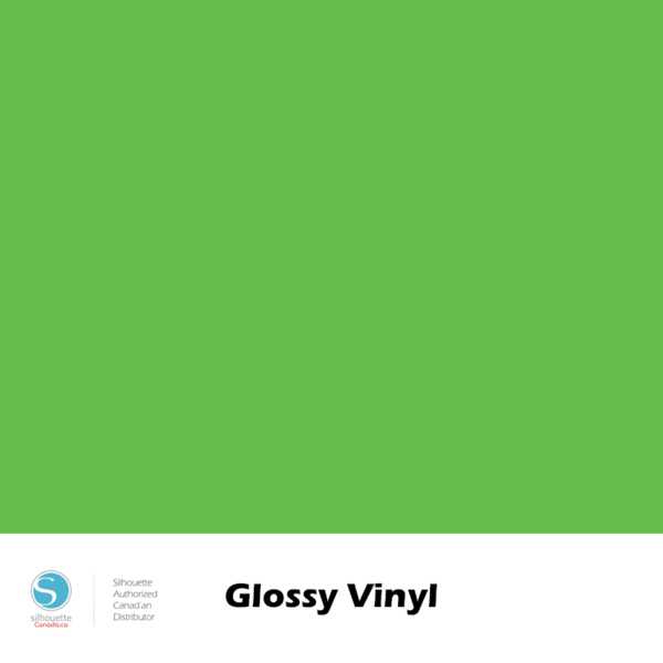 Glossy Vinyl - 12"