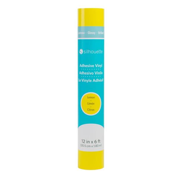 Glossy Vinyl - 12"